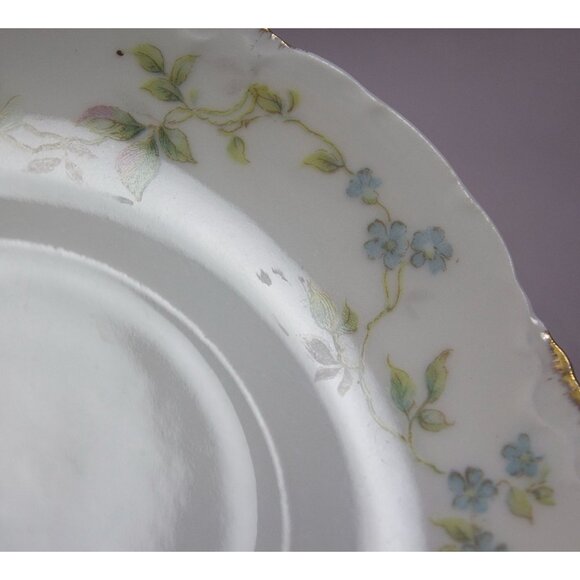 Rosenthal R C Versailles Bavaria Porcelain Cup and Saucer Set Floral Roses - Picture 13 of 14